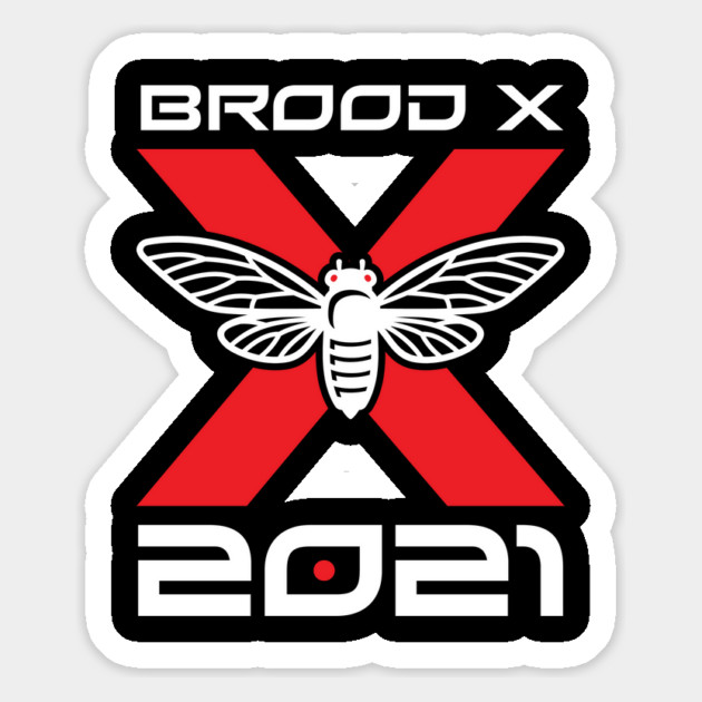 Cicada Brood X 2021 Reemergence Theme Minimalist Magnet by creative