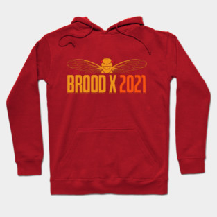 Cicada Brood X 2021 Reemergence Theme Minimalist Hoodie