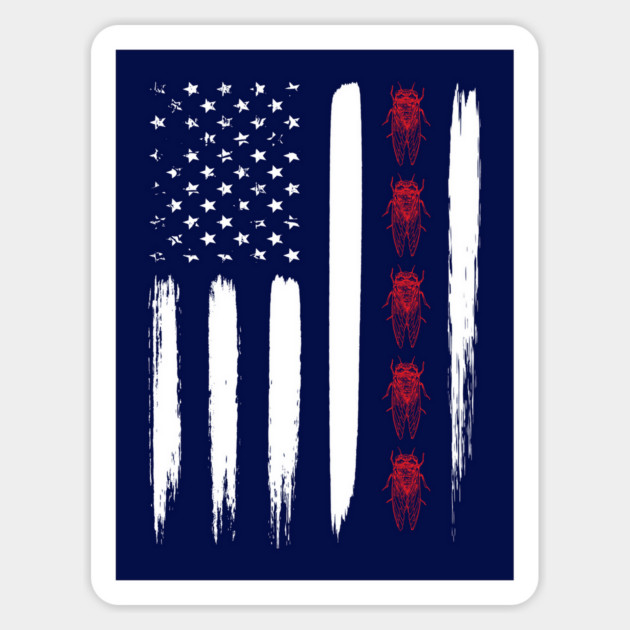 Cicada Line in Distressed US Flag for Cicada Reemergence Magnet by creative