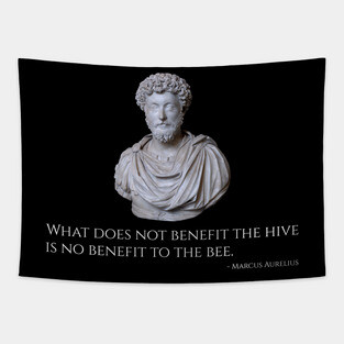 Caesar Marcus Aurelius Quote - Ancient Rome Stoic Philosophy Tapestry