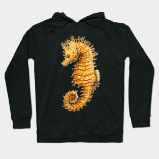 Yellow seahorse Hippocampus Hoodie