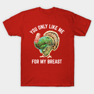 Funny Thanksgiving Like Me For My Breast T-Shirt