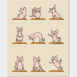 Sphynx Cat Yoga Cat Posters and Art