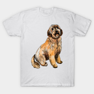 labradoodle T-Shirt