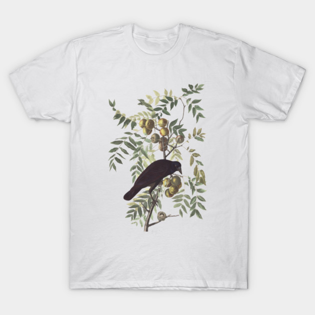 Crow by Audubon T-Shirt by sandsmuseum