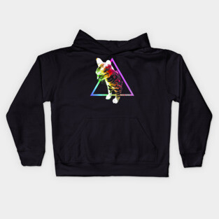 Rainbow Triangle Cat Kids Hoodie