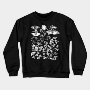 Bug and Insect Colllection Crewneck Sweatshirt