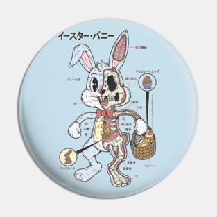EASTER BUNNY ANATOMY Pin