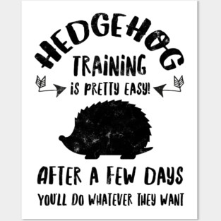 Hedgehog Posters and Art