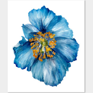 Blue Poppy Posters and Art