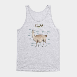 Anatomy of a Llama Tank Top