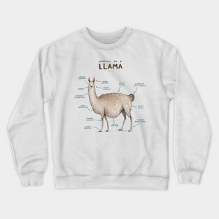 Anatomy of a Llama Crewneck Sweatshirt