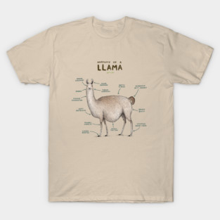 Anatomy of a Llama T-Shirt