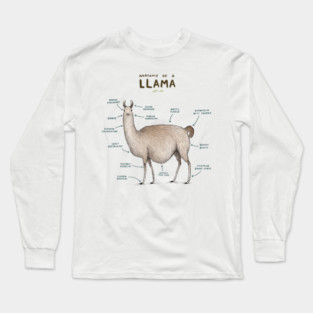 Anatomy of a Llama Long Sleeve T-Shirt