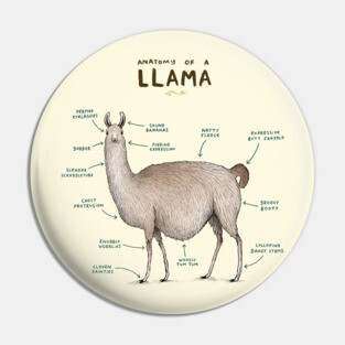 Anatomy of a Llama Pin
