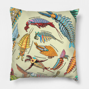 Anomalocaris group Pillow