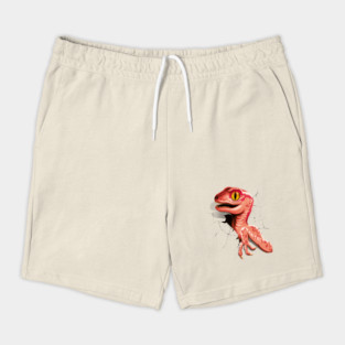 Baby Velociraptor Hatching Shorts
