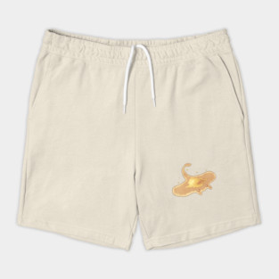 Sea Pancake Shorts