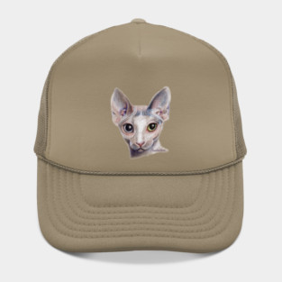 Sphinx cat Hat