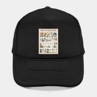 Botanical Fruit and Vegetables Plant Chart Hat