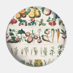 Botanical Fruit and Vegetables Plant Chart Pin