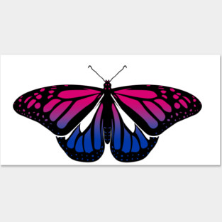 Bisexual Pride Butterfly Posters and Art