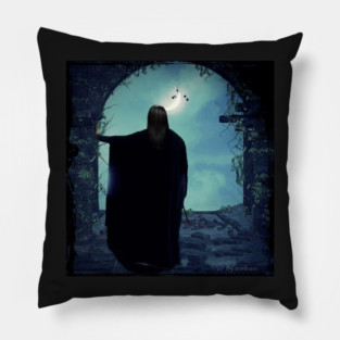 The Potionmaster "Leave me alone!" Pillow