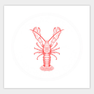 Texas Crawfish Boil Crew - Crawdaddy Crayfish Lover Sticker