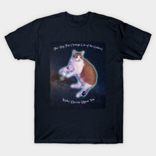 The Big Fat Orange Cat of the Galaxy Looks Down Upon You T-Shirt