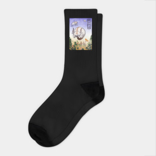 Appa- the last airbender Socks