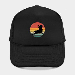 French bulldog yoga, sunset yoga frenchie silhouette Hat