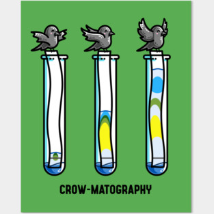 Chromatography Chemistry Pun Posters and Art