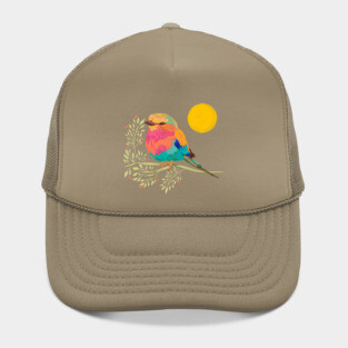 Rainbow Bird Hat