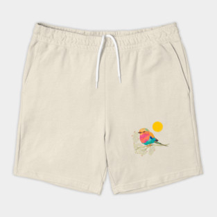 Rainbow Bird Shorts