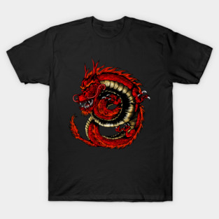 Wonderful asian dragon T-Shirt