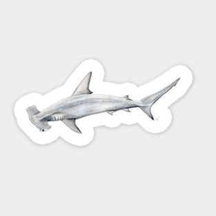 Hammerhead shark for shark lovers Sticker