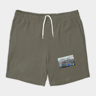 Flying fish over the ocean Shorts