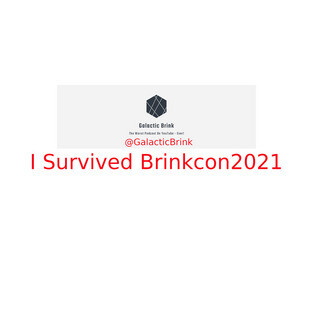 BrinkCon 2021 T-Shirt
