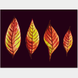 Four Red Yellow Watercolor Painted Autumn Leaves Posters and Art