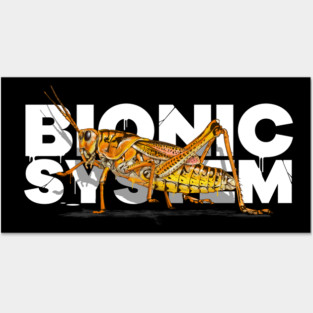 SPRAY SALTAMONTE Posters and Art