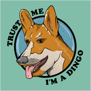 Dingo Posters and Art