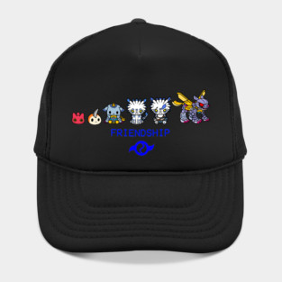 FRIENDSHIP Hat