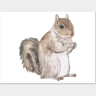 Squirrel - Cute Squirrel Posters and Art