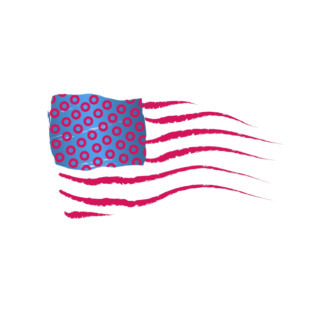 Phish Nation Donut Flag T-Shirt