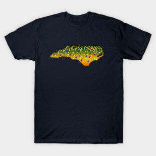 Brook Trout Fish North Carolina State Map Fishing Gifts T-Shirt