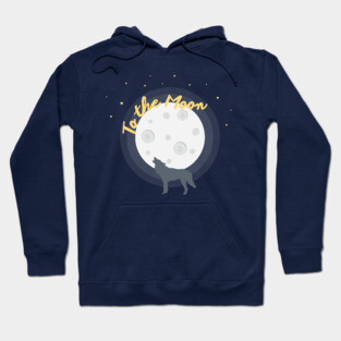 To the Moon (cryptocurrency) Hoodie