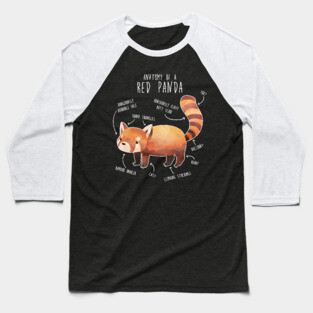 Red Panda Anatomy Baseball T-Shirt