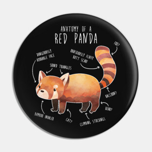 Red Panda Anatomy Pin
