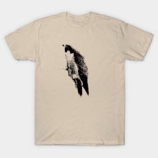 Hawk T-Shirt