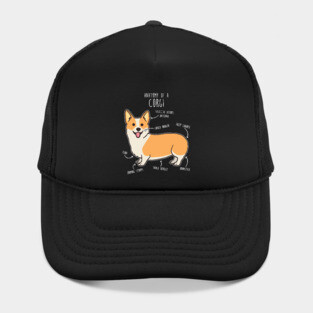Corgi Anatomy Hat